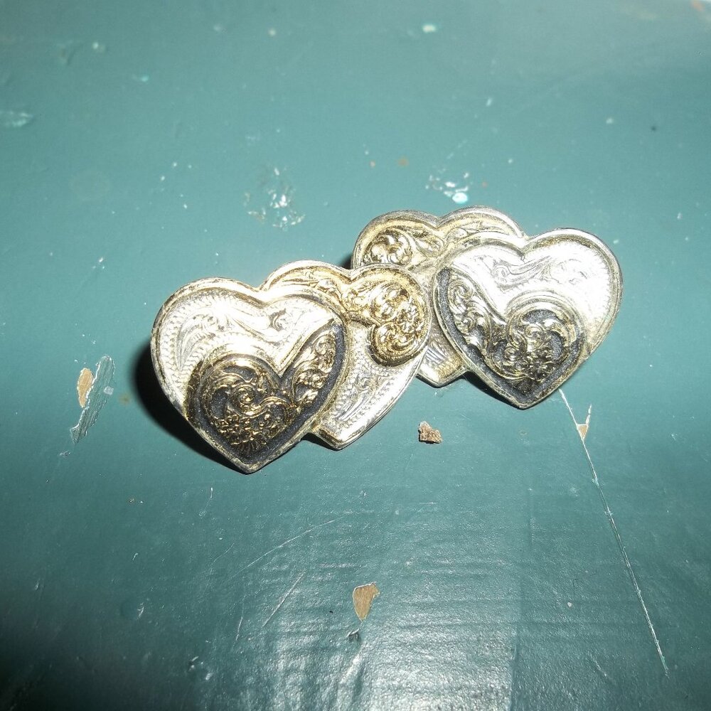 Montana Silversmith earrings